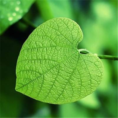苍穹英雄传手游(暂未上线)v1.0.1 安卓版
